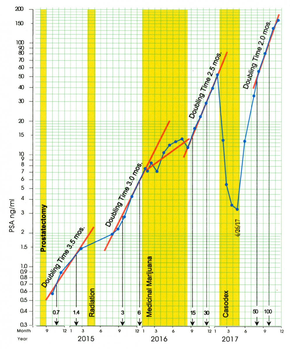 Standard Celeration Chart Software
